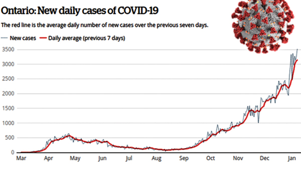 Covid 19 pandemic situation essay picture